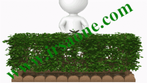 انیمیشن figure trim hedge